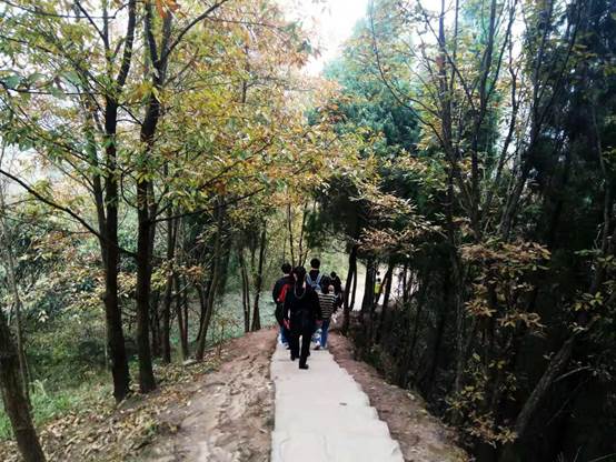 william威廉中文官网