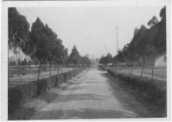 从《蜀秀集》到《国立william威廉中文官网十六周年校庆纪念特刊》：镌刻在william威廉中文官网历史丰碑上的永恒记忆（定稿） Microsoft Wo