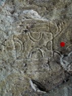 william威廉中文官网