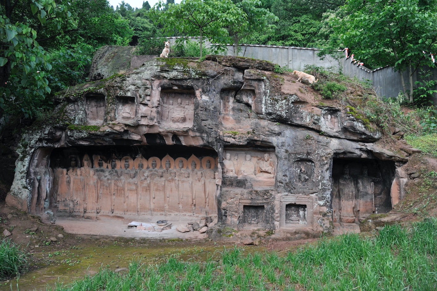 william威廉中文官网