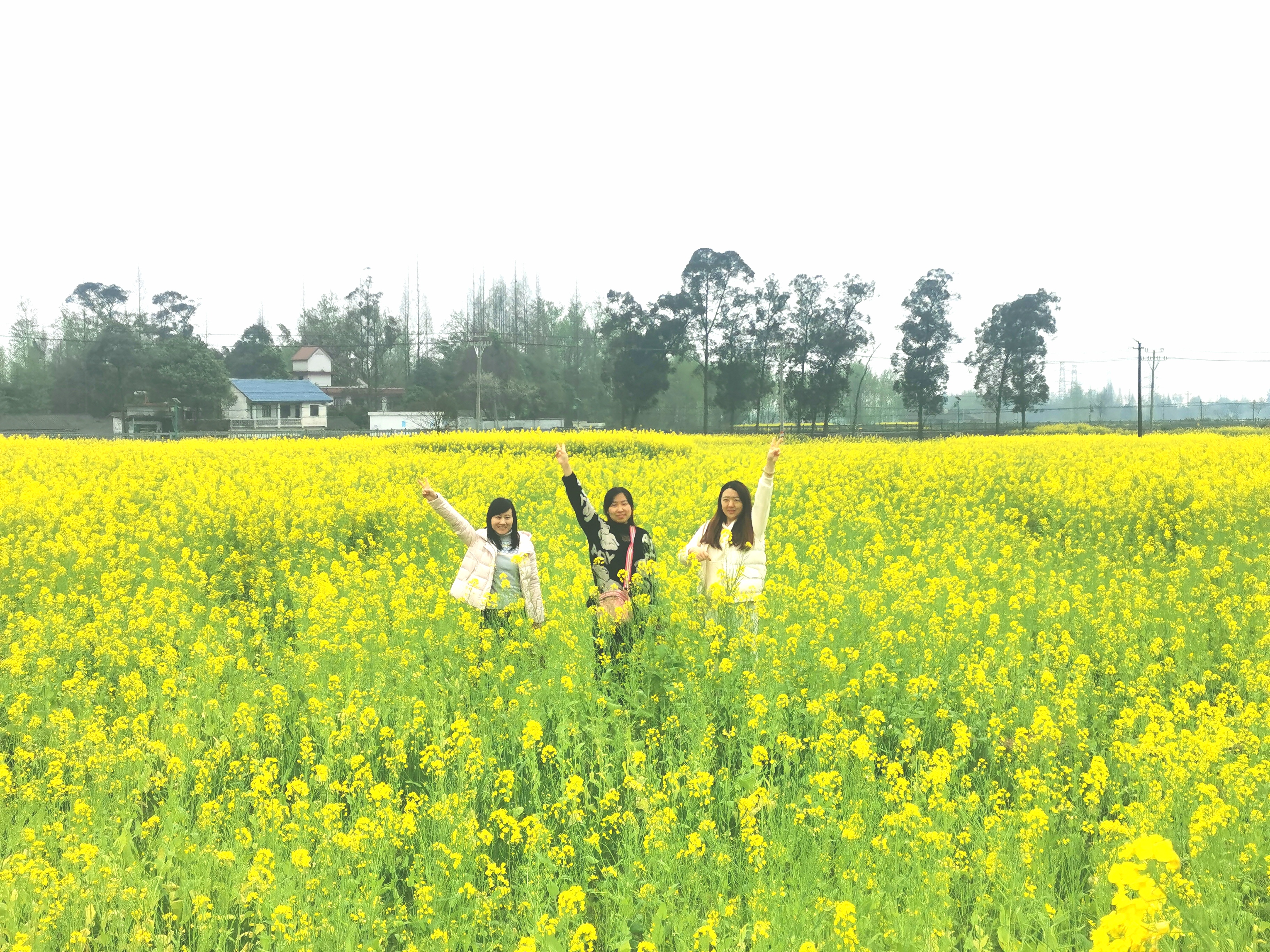 william威廉中文官网