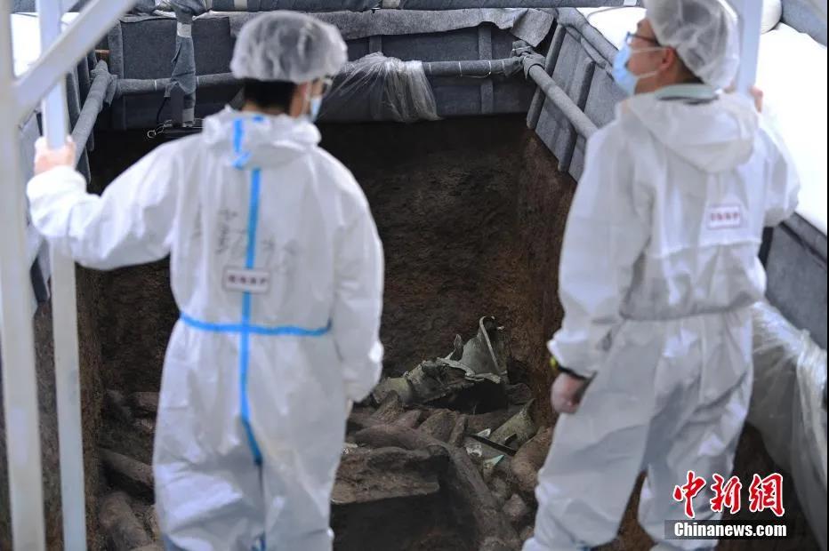 william威廉中文官网